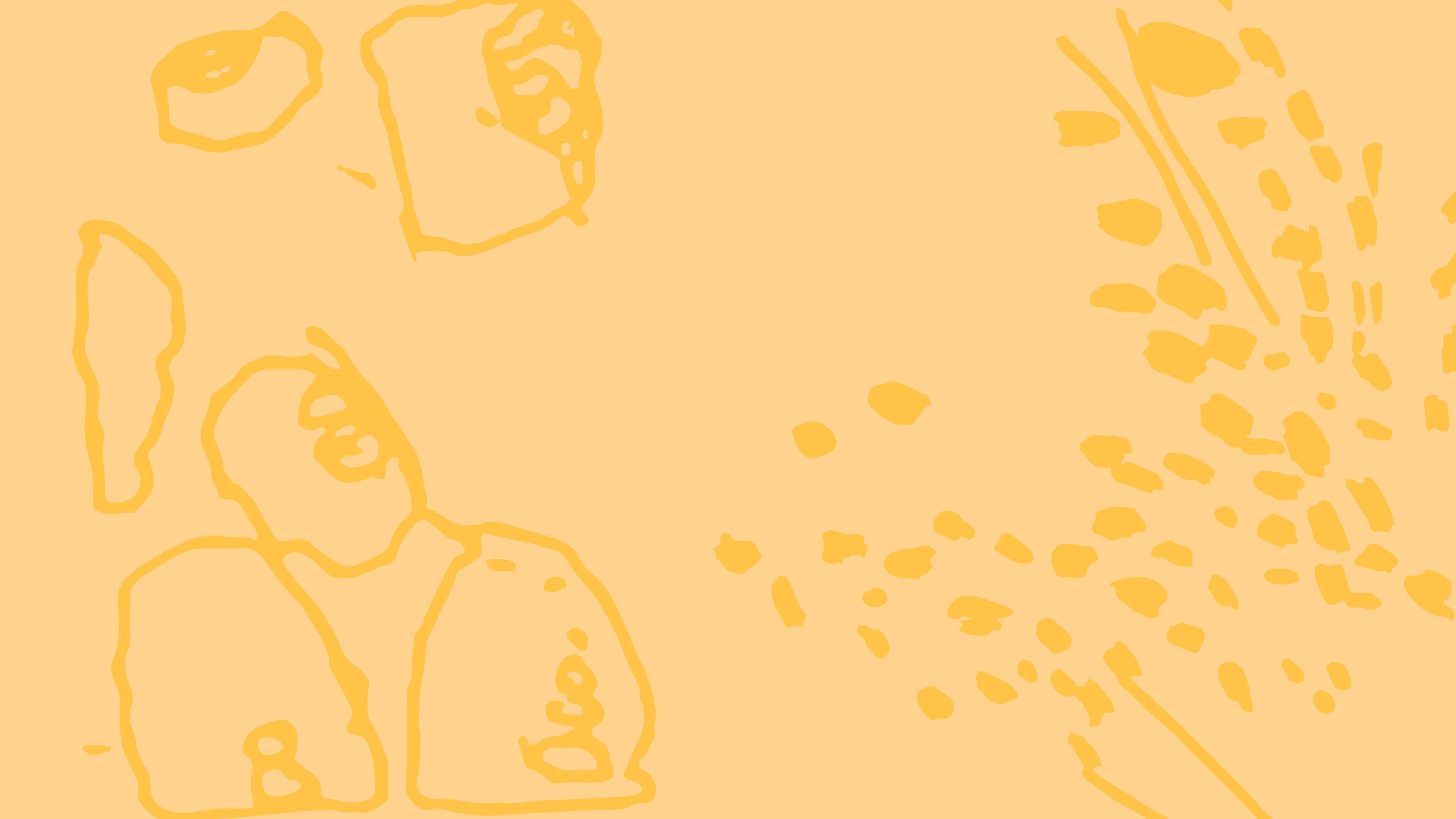 Em poucas palavras, o que é educação inclusiva?